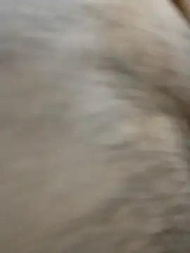 horny boy 45 online show from 04-23-26, 04:20