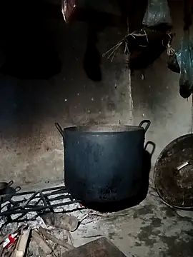 pic8800 online show from 03-31-26, 07:09