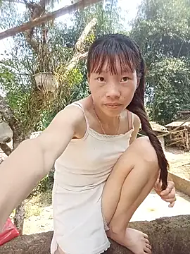 pic8800 online show from 05-15-26, 11:01