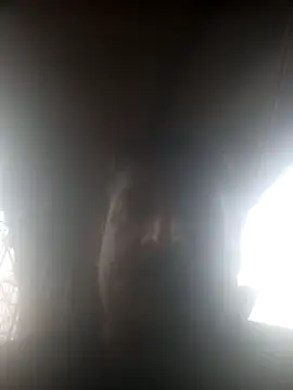 siva6703 online show from 03-07-26, 09:50