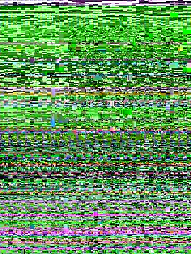 Snapshot of D_SnowL chatting on 07-10-26, 07:49 D SnowL online show from 07-10-26, 07:49