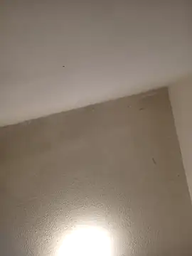 priscilaf online show from 04-07-26, 09:43