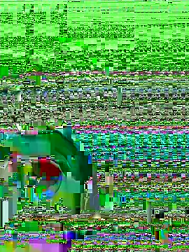 midsize 94 online show from 02-26-26, 03:38