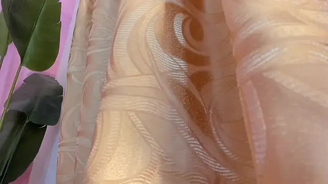 evelyn  rose1 online show from 03-08-26, 02:04