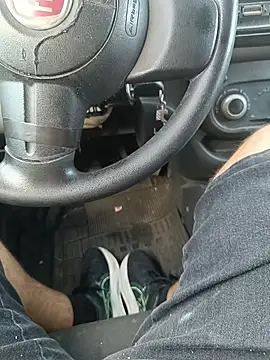 UrsoBissexualPauGrosso online show from 03-01-26, 08:44