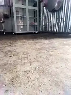 Malisa-aa online show from 03-11-26, 12:05