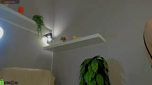 KiittieX online show from 05-25-26, 06:30