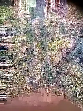 Ambala1 online show from 04-21-26, 01:42