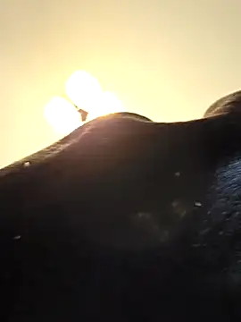 KinkyKittyBoy online show from 04-19-26, 06:10