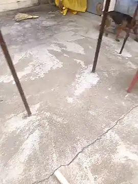 mylove202022 online show from 03-15-26, 02:06