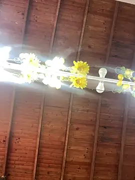 LiaTrainor online show from 04-14-26, 07:09