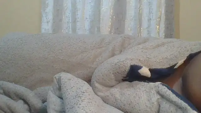 Snapshot of ndivhuwomuleya chatting on 07-24-26, 03:37 ndivhuwomuleya online show from 07-24-26, 03:37