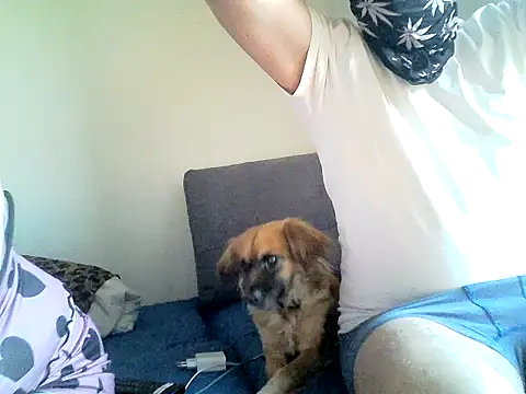 SirNefastus online show from 04-12-26, 04:28