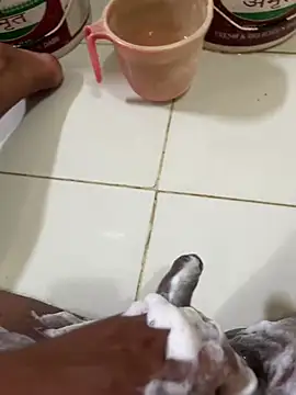 Chotiluli4 online show from 04-28-26, 08:41