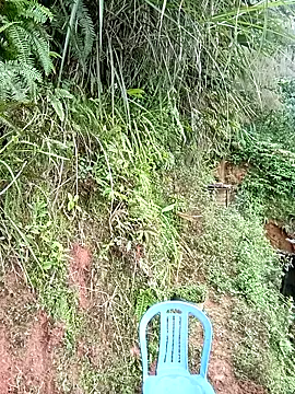 kalara kail online show from 04-24-26, 12:35