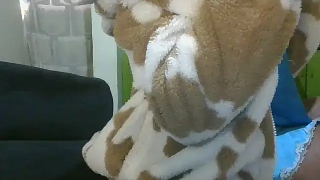 Elianastar online show from 04-16-26, 04:46