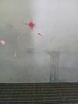 School teacher12 online show from 03-28-26, 06:35