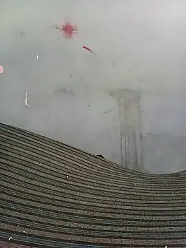 School teacher12 online show from 04-17-26, 03:48