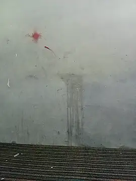 School teacher12 online show from 04-19-26, 03:55