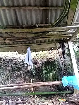 NIANIAKUTE online show from 04-26-26, 05:05