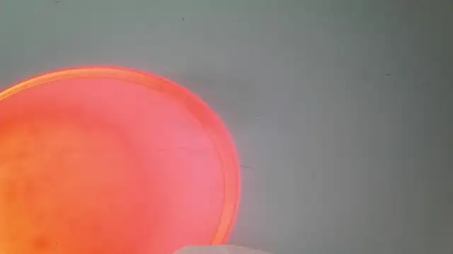 srghost333 online show from 03-25-26, 03:56