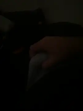 yassineamri online show from 03-28-26, 01:22