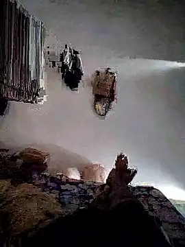 roselover2222 online show from 03-29-26, 10:48