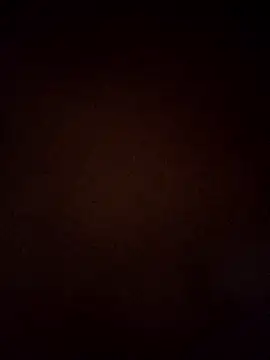 VENUSH STYLO online show from 03-31-26, 04:40