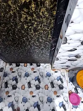 Snapshot of SLBL chatting on 03-26-26, 05:07 SLBL online show from 03-26-26, 05:07