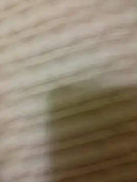 Snapshot of SteedyGee chatting on 04-15-26, 08:31 SteedyGee online show from 04-15-26, 08:31