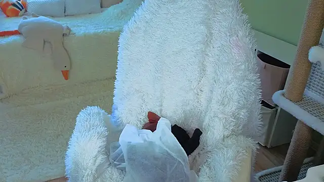 Regina Noire online show from 04-09-26, 10:31