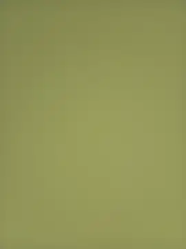 Biuals online show from 06-13-26, 05:00