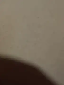 Mr beast 09 online show from 06-22-26, 04:42