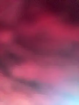 eu elisa online show from 04-01-26, 05:32