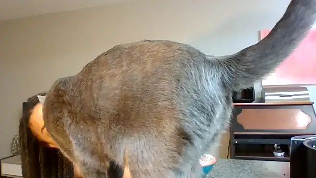 madzbailey online show from 04-02-26, 12:25