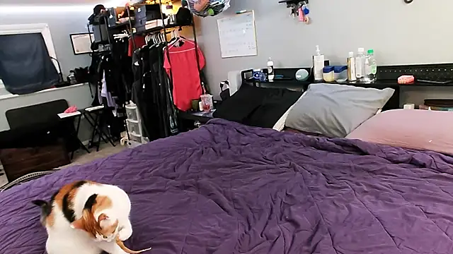 Snapshot of PolyCircus chatting on 04-12-26, 04:06 PolyCircus online show from 04-12-26, 04:06