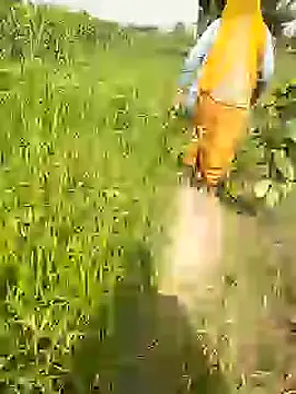 delhicouple50 online show from 07-19-26, 03:54