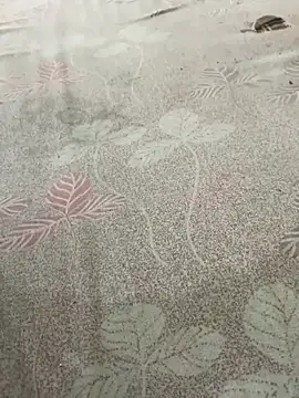 pujaji098 online show from 04-13-26, 04:07