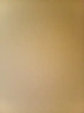 nohaylanono online show from 06-06-26, 11:59