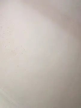 pammybarbwire online show from 04-23-26, 08:46