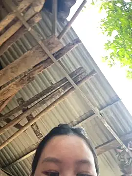 Swan 69 online show from 04-21-26, 09:59