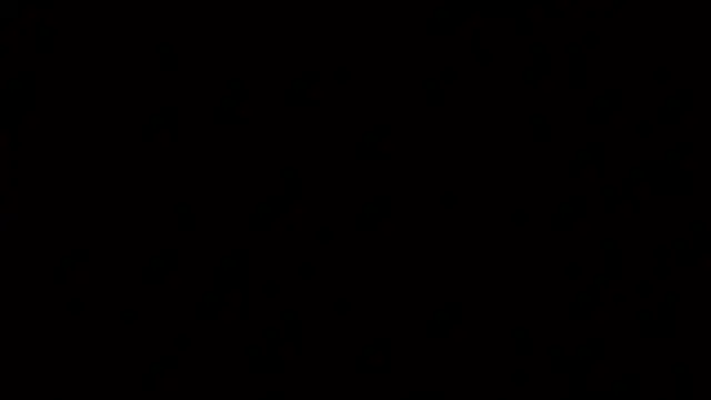 raven n matt online show from 07-27-26, 05:03