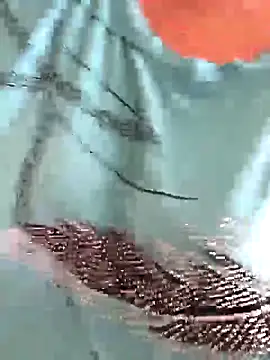KICIA10 online show from 06-12-26, 08:46