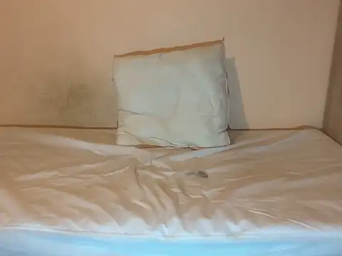 Snapshot of crazytranny chatting on 01-18-25, 09:24 crazytranny online show from 01-18-25, 09:24