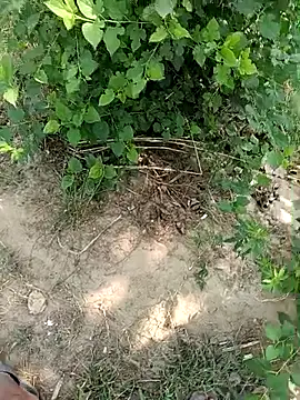 genny-girls online show from 06-03-26, 03:42