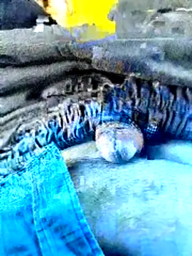 indiandeshi online show from 06-24-26, 02:21