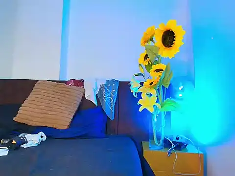 NoahStarks online show from 06-11-26, 01:09