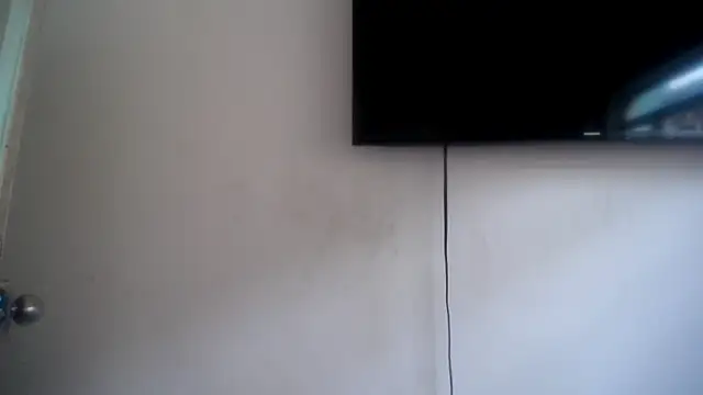 Fox Loves online show from 07-30-26, 08:30