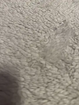 Snapshot of lil_martian chatting on 02-12-26, 12:05 lil martian online show from 02-12-26, 12:05