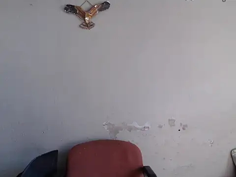 Frank X Husle online show from 06-08-26, 10:37